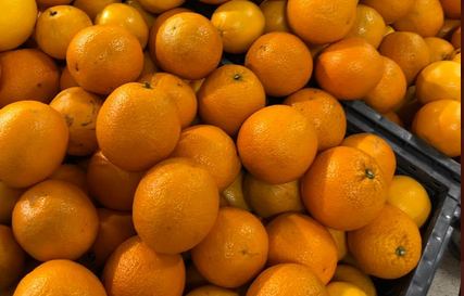 Zimbabwe Oranges in Moscow